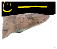 835299645