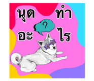 835316690