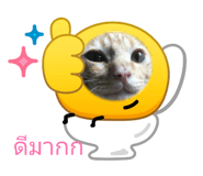835316696