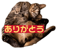 835317759