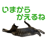 835317766