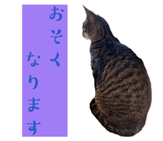 835317769