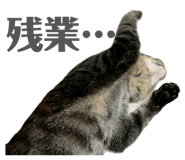 835317771