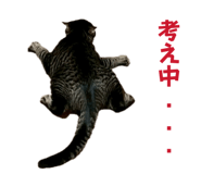 835317777