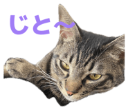 835317785