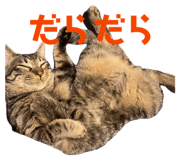 835317788