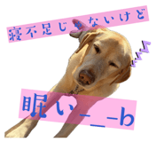 835322593