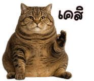 835323976
