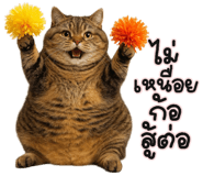 835323979