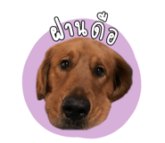 835325042