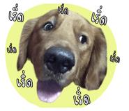 835325052