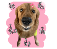 835325053