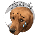 835325060