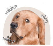 835325064