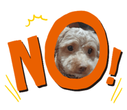 835334840