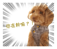 835335345
