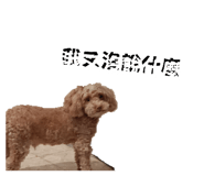 835335347
