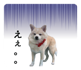 835344233