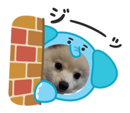 835344259