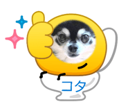 835344307
