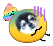 835344309