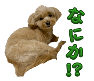 835348591