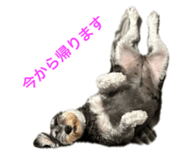 835348687