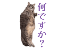 835348868
