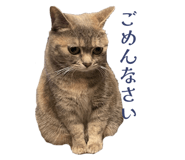835348871