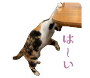 835348875