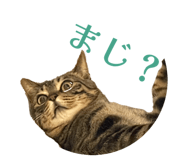 835348880