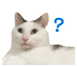 835351033