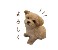 835351399