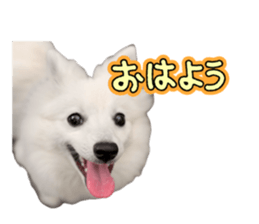 835377623