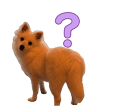 835377625