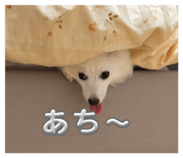 835377633