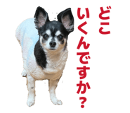 835391376
