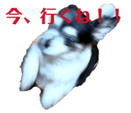 835391500
