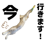 835417579