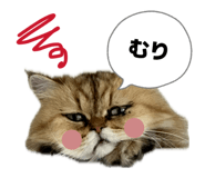 835417859