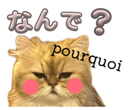 835417864