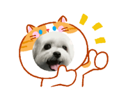 835421932