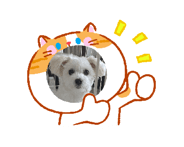 835421936