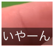 835444407