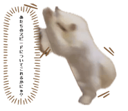 835448067
