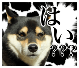 835450932