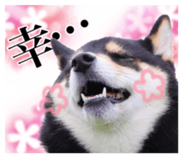 835450942