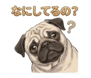 835451805