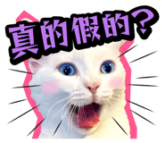 835464538