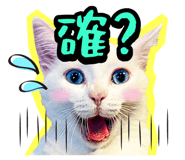 835464539
